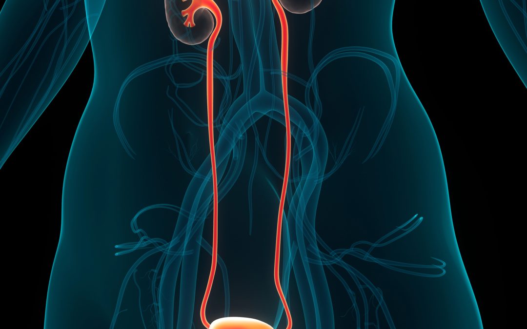 Infecciones urinarias