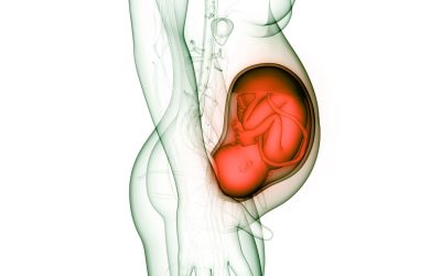 Inicio 7 Sepsis obstétrica. Entrevista Dra. Ana María Polo Checa