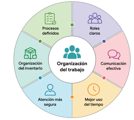 Detrás del mostrador de farmacia 3 organización farmacia